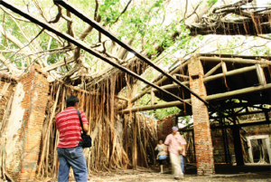 AnpingTreeHouse