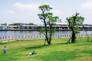 LinMoNiangPark