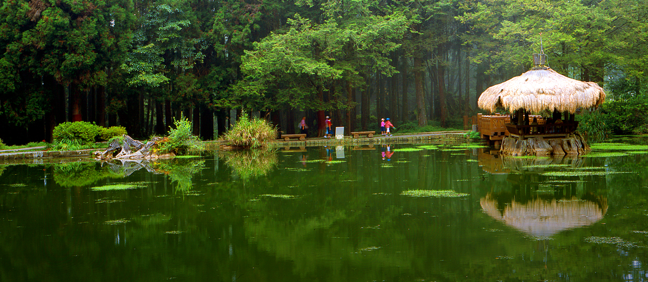 alishan_banner