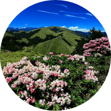 Banjaran Gunung Tengah