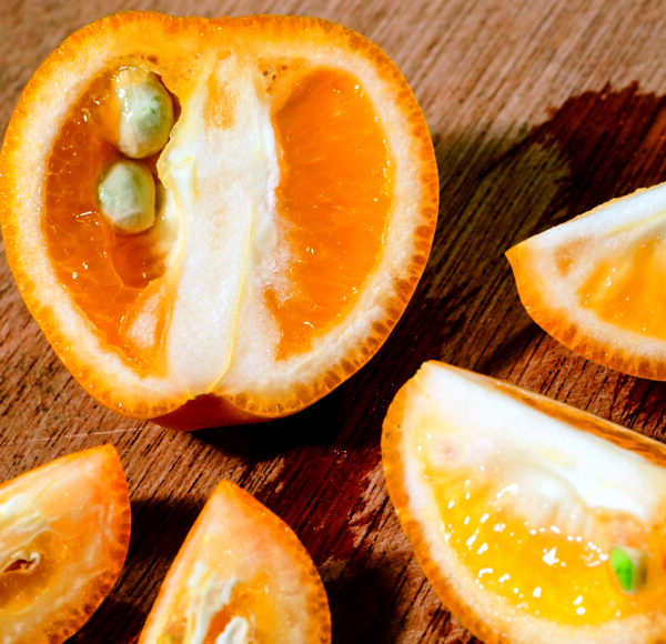 kumquat (1)