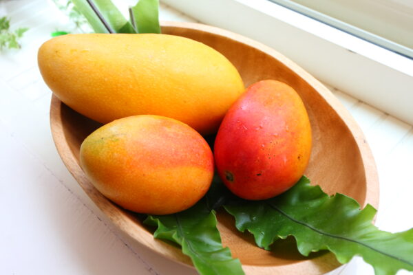 mango (2)