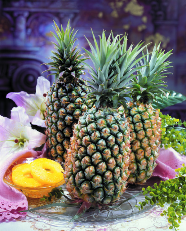 pineapple (2)