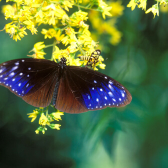 Ecotourism-image03 image02