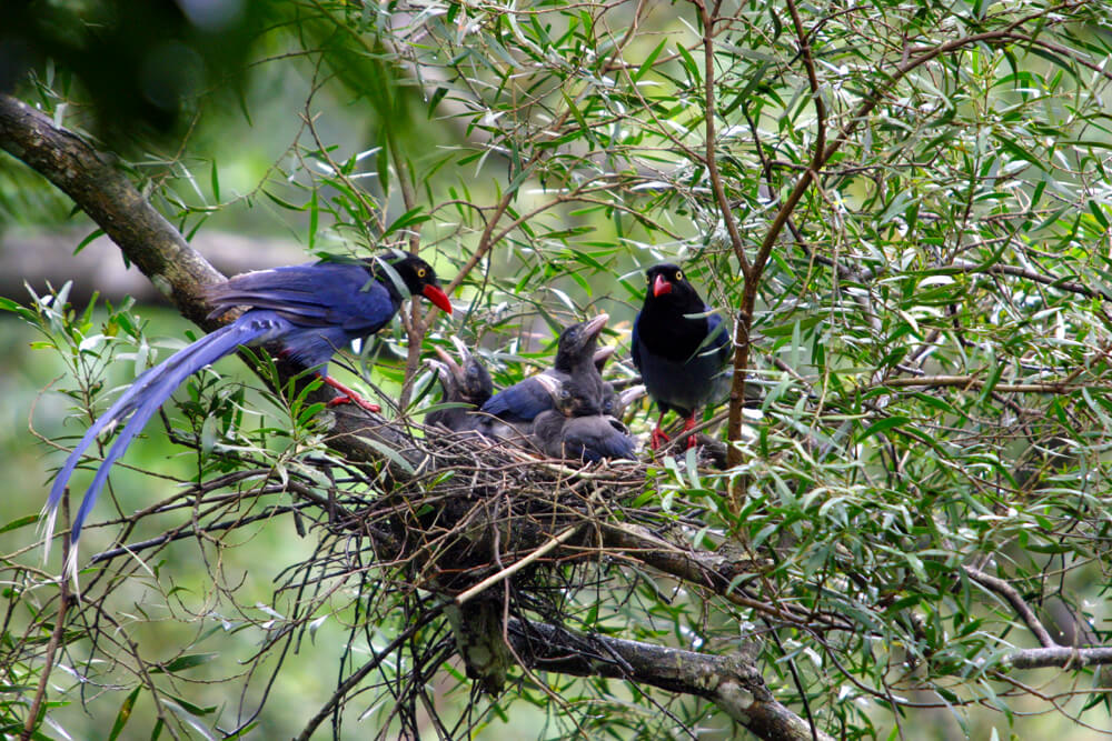 Ecotourism-image05 Ecotourism-image05